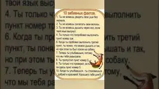 Забавные факты о тебе😜