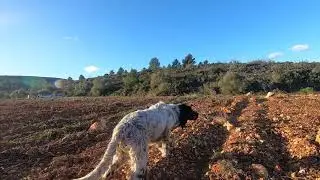 Layos, Leña y Lagoon