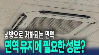 냉방으로 떨어지는 면역을 유지할 성분은?