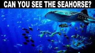 NO ONE CAN FIND ALL THE HIDDEN ANIMALS!! | FIND THE HIDDEN ANIMALS GAME  |100% FAIL | BRAIN TEST