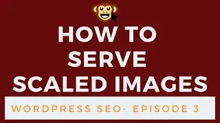 WordPress SEO Tactics Episode 3 - How to Serve Scaled Images