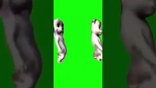 Barbie dogs dancing 😌