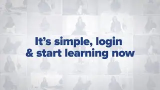 Learn How to Groom Dogs: Jodi Murphy Instructional Series Now Available Streaming Online
