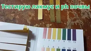 Проверил кислотность почвы на своём огородике. Проверка значения ph почвы с помощью лакмуса.