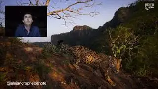 Platica con el fotógrafo mexicano Alejandro Prieto