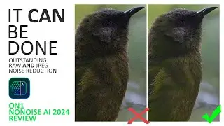 ON1 NoNoise AI 2024 Review - Excellent Photo Noise with very few downsides
