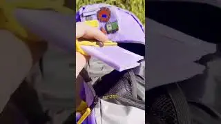 what's in the bag?