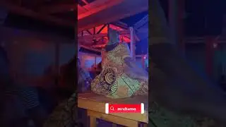 chura anarukaruka balaa la baikoko yakitanga #kigodoro #twerking #saxxon #kibaokata #africantwerking