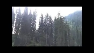 Trek towards Neela Meadows