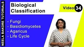 Biological Classification | NEET | Fungi - Basidiomycetes - Agaricus - Life Cycle | Neela Bakore