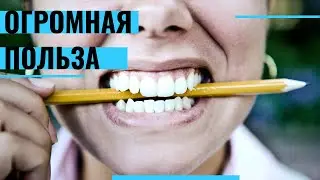 Крепкие Кости и Здоровые Зубы! В Этих Продуктах Кальция Больше, чем в Твороге и Молоке!
