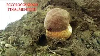 Primo Porcino 2016..Vieni da Papà!