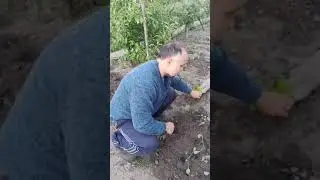 ДОЧЬ ПОДУМАЛА ЧТО Я ХИЛЯК! ЗАСТАВИЛА ОТЦА ОТЖИМАТЬСЯ