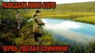 Донка и ЧЕРВЬ рулят, СПИННИНГ проигрывает. РЫБАЛКА в августе на новом ОЗЕРЕ.