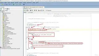 Capítulo 06   Raise Application Error Procedure