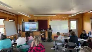 SiTP LiveStreams