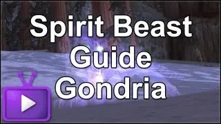 ★ WoW Hunter - Spirit Beast Pet Guide - Gondria in Zul'Drak