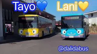 TayoBus 💚❤️💙💛 World 20 Minutes Korea