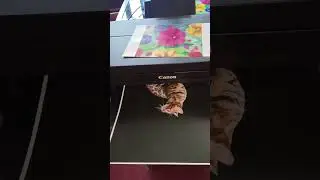 CANON PIXMA A3 PHOTO PRINTER QUALITY