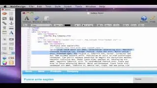 Amazing Preview of RAGE Software's WebDesign 3.0