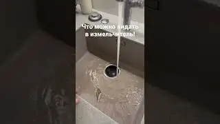 Что можно кидать в измельчитель кухонный. Рыбья голова в измельчитель.