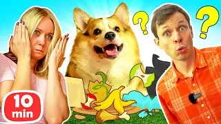 Весёлые игры с корги Альфом! Смешное видео для детей