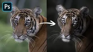 Create Black Panthers Manipulation || Photoshop Photo Editing 