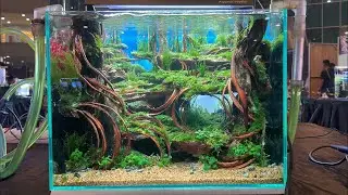 🔴 [LIVE] ONE Champion Aquascape Contest - Part 3