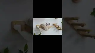 Cat Climbing Shelf Reversible Wall Mounted Kitten Stairs Ladder Sisal Rope For Cats Perch Platform