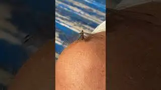 Бабка вирішила перекурити