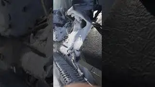 зимник камчатки
