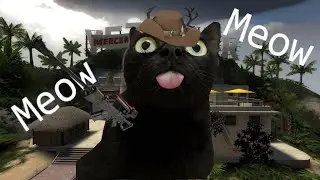 [tf2] Cat Memes