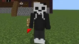 Skull as a teacher