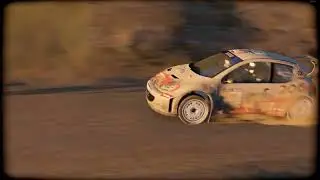 Assetto Corsa Peugeot 206 WRC camtools2 Pure Sound