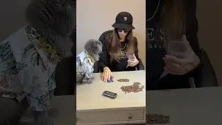 Когда твой кот истинный Барон