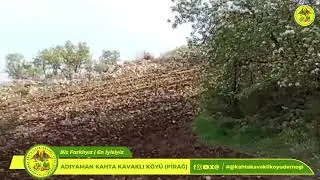 "Bir Başkadır Kavaklı Köyü! 💚💛