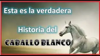 La verdadera historia del caballo blanco