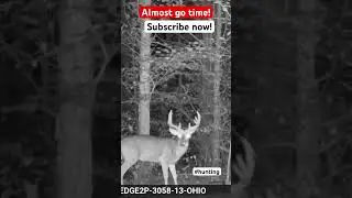#bucks #hunting #deerhunting #trailcam #moultriemobile #moultrieproducts #shorts #deer #outdoors
