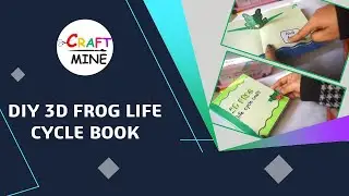 DIY 3D Frog Life Cycle Book ll School Project ll Pop up Book