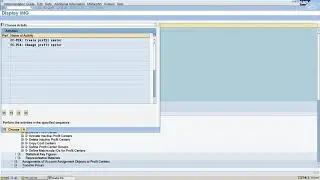 How to create a Profit Center in SAP