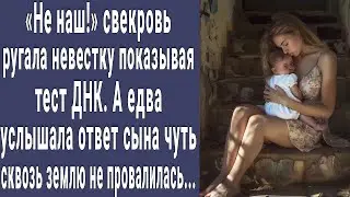 Не наш! сказала свекровь невестке и показала текст ДНК. А едва услышала ответ сына побледнела...