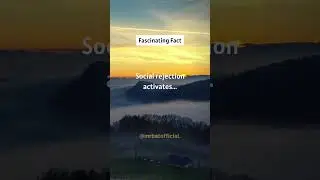 Fascinating Fact 