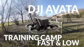 DJI AVATA training camp. Fast&Low