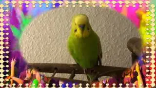 Кеша поет дет песни и читает стихи