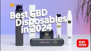 6 Best CBD Disposable Vapes in 2024
