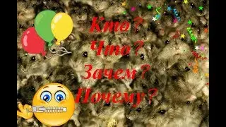 Супер-пупер событие канала Зверополис! #Зверополис