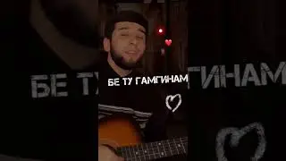 Davlat bo gitara