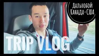 VLOG 