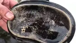 Раскопки в Ленинградской области 9