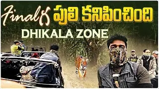 Final గ అడవిలో పులి కనిపించింది  | JIM CORBETT DHIKALA | TELUGU PHOTOGRAPHY VLOGS | VIEW FINDER SNAP